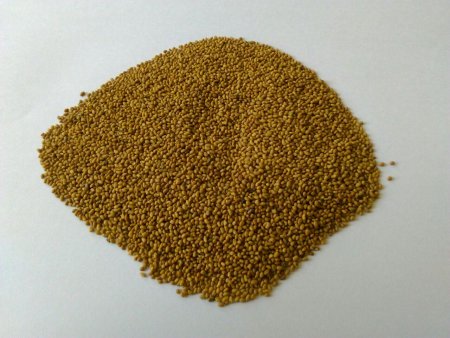 بذر یونجه همدانی